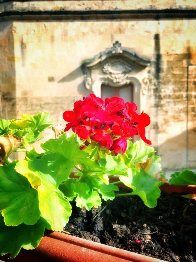 Palazzo Salia Bed & Breakfast Lecce Exterior photo